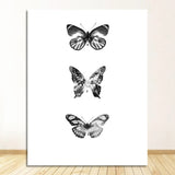 Three black and white butterflies wall art canvas print
