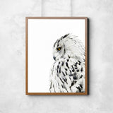 White Owl Wall Art
