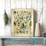Vintage Botanical Wall Art