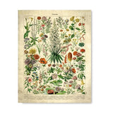 Vintage Botanical Wall Art