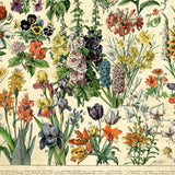 Vintage Botanical Wall Art