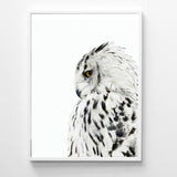 White Owl Wall Art